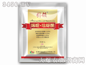 -ϩ�����ͪ