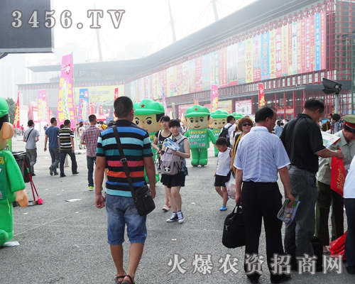 ���r(n��ng)�Y���̾W(w��ng)�������F(tu��n)�(du��)���e��������