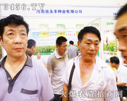 河南省永豐種在2014河南夏季種子會(huì)上堅(jiān)持不懈