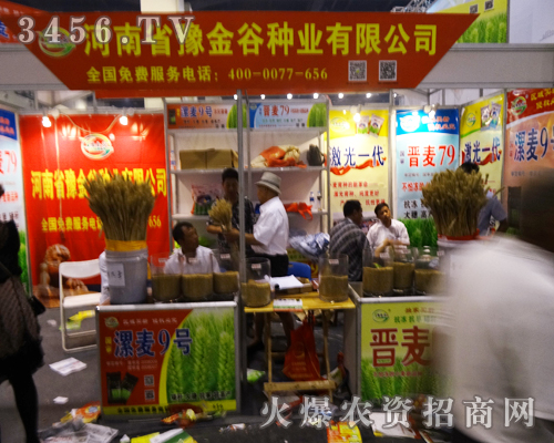河南省豫金谷種業(yè)在2014鄭州夏季種子會(huì)上全力以赴的付出