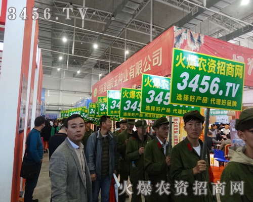 �����w���r(n��ng)�Y�W(w��ng)�ľ�������