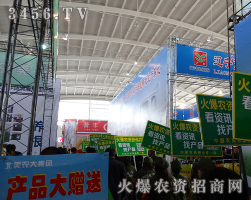 ���������ݴ�����