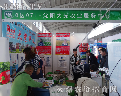 ��ꖴ�������M�ļ��g(sh��)�������r(n��ng)�YƷ��