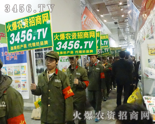 永不言退,3456.TV的團(tuán)隊(duì)