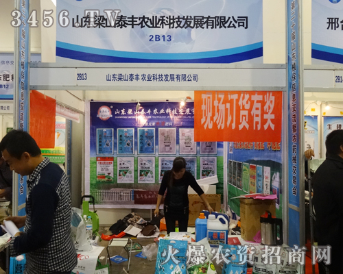 ɽ�|��ɽ̩�S��ɽ�|ֲ����(hu��)�L(f��ng)��ȫ��(ch��ng)