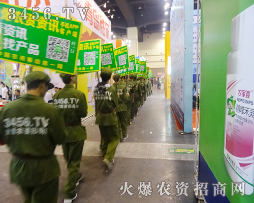 ���r(n��ng)�Y���̾W(w��ng)�ľGɫ��(zh��n)ʿ��(sh��)���ɓ�