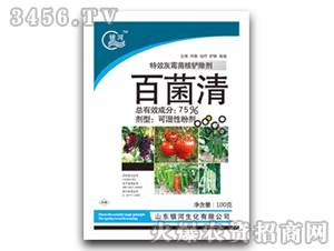 �y��-75%�پ��壨���b��