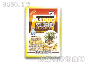 ����-����������