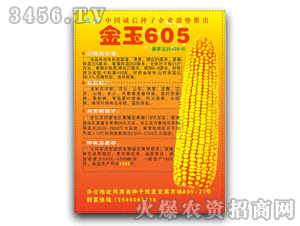 中糧-金玉605