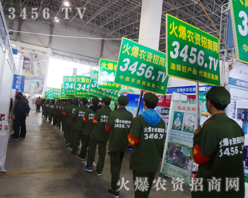 �ĈF���������