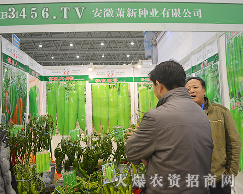 ����ʒ�·N�I(y��)��2015ֲ���p����(hu��)������עĿ