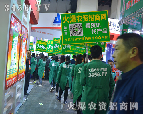 �𱬾W(w��ng)��2016������ԭ���ϕ��ϱM���չʾ�������L(f��ng)��