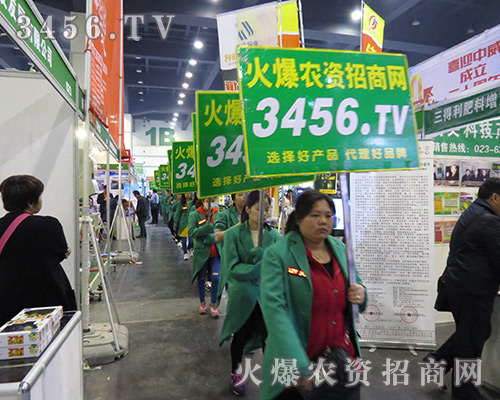 ��(ji��n)�ֲ�и����(ji��n)��׌���r(n��ng)�Y���̾W(w��ng)����������