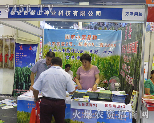 2016���ϷN�ӕ�̩����̩ɽ�N�I(y��)�Ƽ�����r�����L(f��ng)�ƾ�����