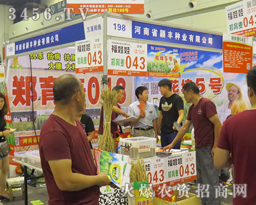 ����ʡ�f�S�N�I(y��)���޹�˾������2016�����ļ��N�ӕ���