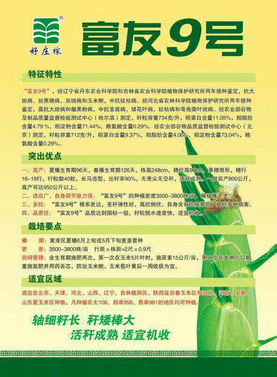 ���s���N-����9̖-���f��