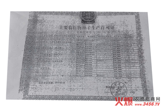 ���s���N-����9̖-���f��