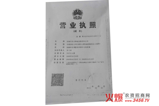 ���s���N-����9̖-���f��