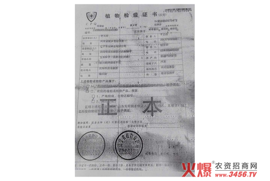 ���s���N-�|��98-���f��