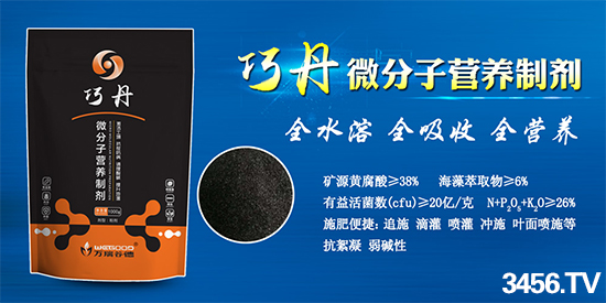 ���f��ȵ��ɵ���΢���ӠI(y��ng)�B(y��ng)�Ƅ�