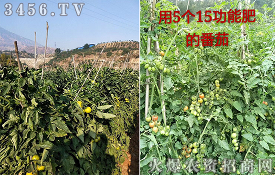 �a(ch��n)Ʒ��!��5��15��һ������Һ��������!ӆ�ξ���,��(y��u)�ݶ��,�s����˰�!