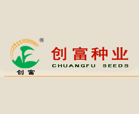 ���Մ�(chu��ng)���N�I(y��)���޹�˾