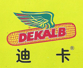 �зN�Ͽ��N�����޹�˾