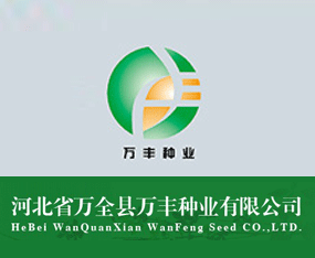 �ӱ�ʡ�f(w��n)ȫ�h�f(w��n)�S�N�I(y��)���޹�˾