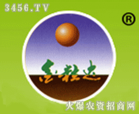 �\�ݽ����_�߲˿ƌW�о���