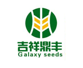 �������鶦�S���H�N�����޹�˾