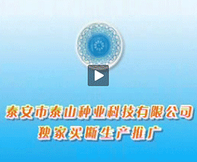 ̩����̩ɽ�N�I(y��)�Ƽ����޹�˾