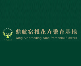 �_���h�����޸����ܷ�������