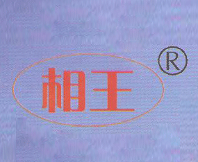 �������r(n��ng)�N�I(y��)����؟(z��)�ι�˾