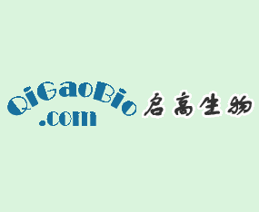 ������������Ƽ����޹�˾