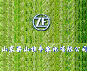 ɽ�|ֲ�S�r(n��ng)�����F���޹�˾