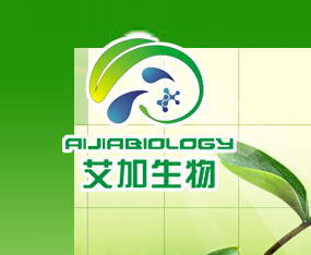 �����I�������＼�g���޹�˾