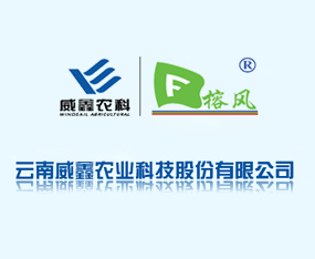 ���������r�I(y��)�Ƽ��ɷ����޹�˾