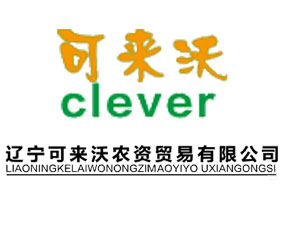 �|���Ɂ����r�Y�Q�����޹�˾