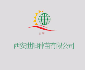 �������(y��ng)�N�����޹�˾