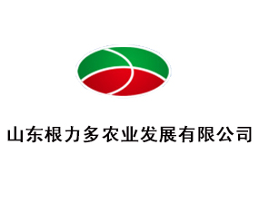 ɽ�|�������r(n��ng)�I(y��)�l(f��)չ���޹�˾