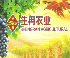 ɽ�|��Ƚ�r(n��ng)�I(y��)���W(xu��)���޹�˾