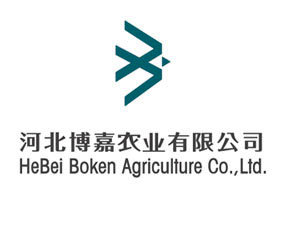 �ӱ������r(n��ng)�I(y��)���޹�˾