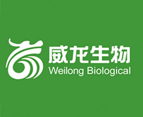 �_����������Ƽ����޹�˾