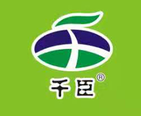 ����ʡǧ������Ƽ�����؟(z��)�ι�˾