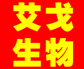 ���u��������Ƽ����޹�˾