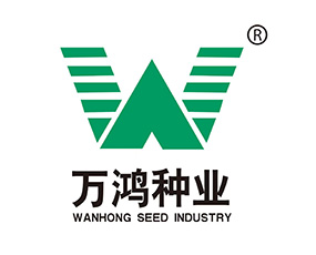 �|���f(w��n)���N�I(y��)���޹�˾