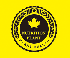 �ЅR��ɽ�|���r�I(y��)���F���޹�˾