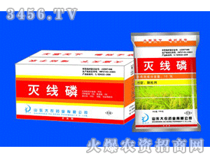 �羀���w����