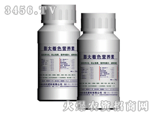 �����������ɫ�I�B(y��ng)��