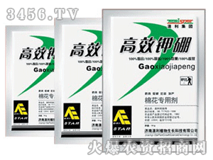 �����ϸ�Ч���